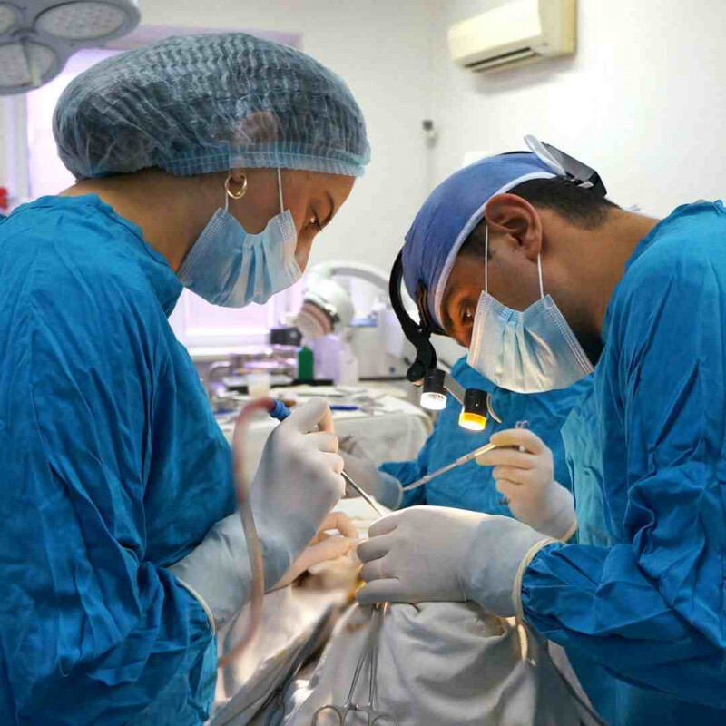 Clinic/Avagyan-Medical-Center-Clinic-Medical-Center-in-Yerevan-Medicine-in-armenia-Avagyan-kentron-BK-Avagyan-Med-Doctors_800x800 (1).jpg